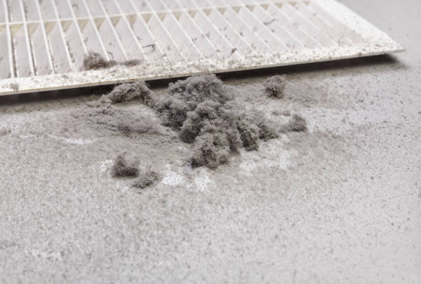 Best Air Duct Cleaning Near Me  in Minooka, IL